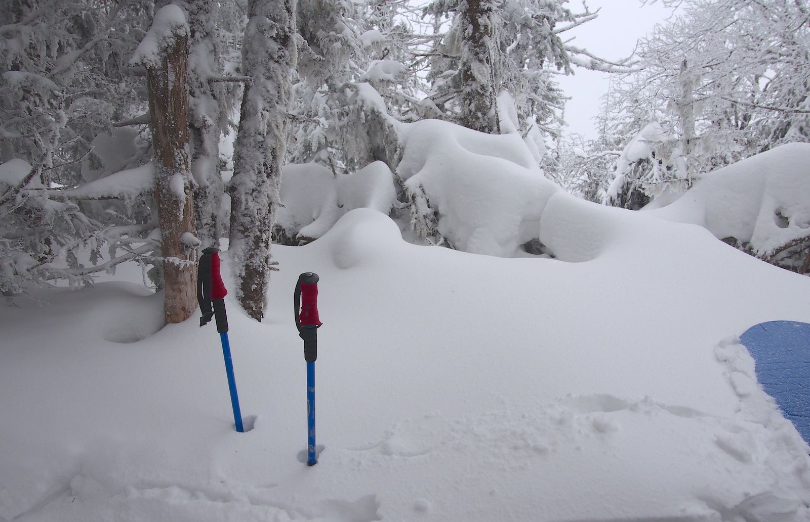 two hiking poles sticking out of the snow with a sled off to one side