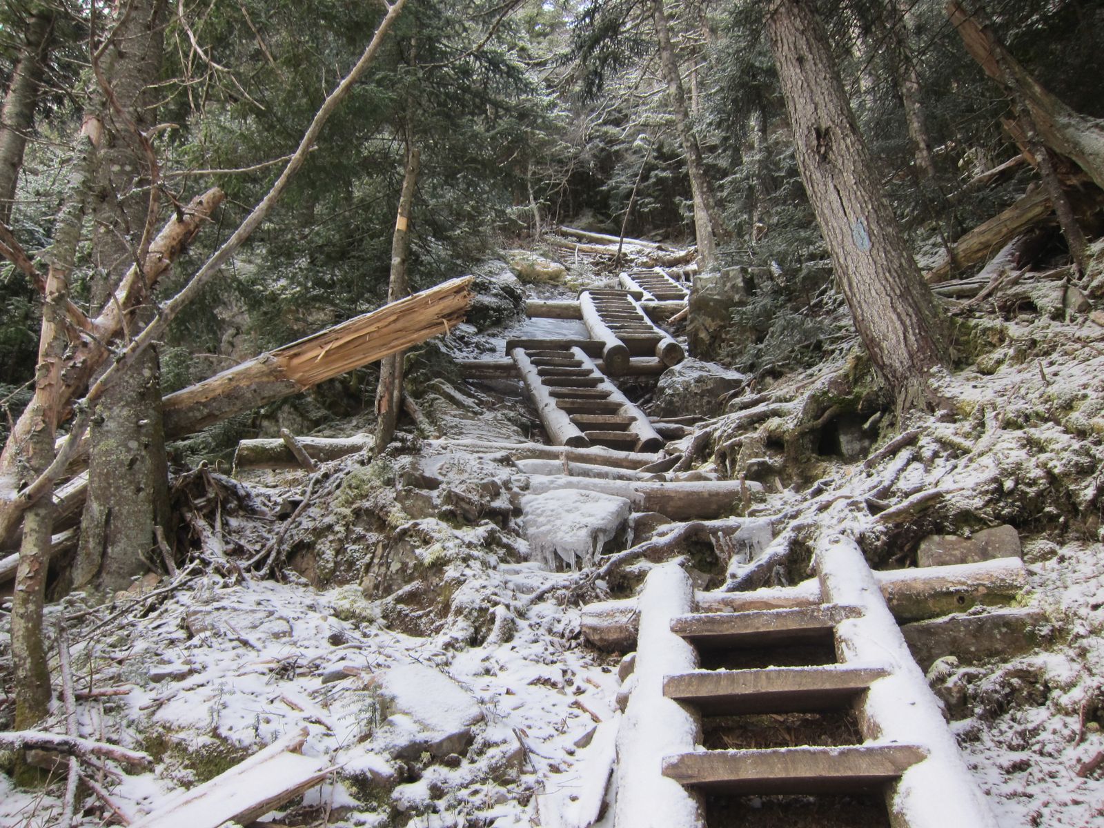Mt. Willey hiking photo