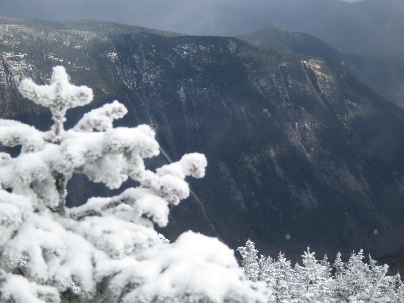 Mt. Willey hiking photo