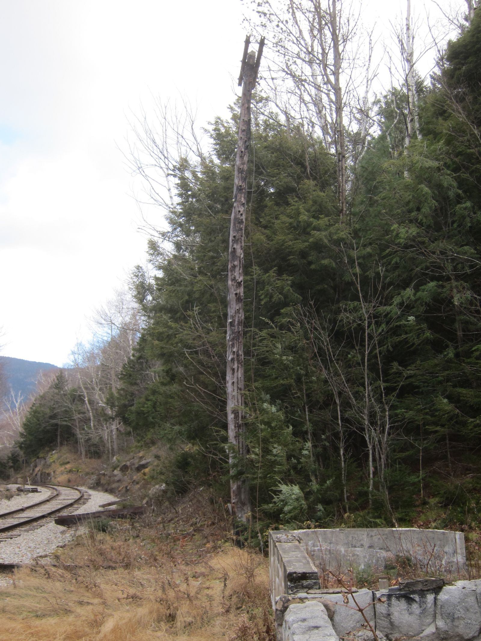 Mt. Willey hiking photo