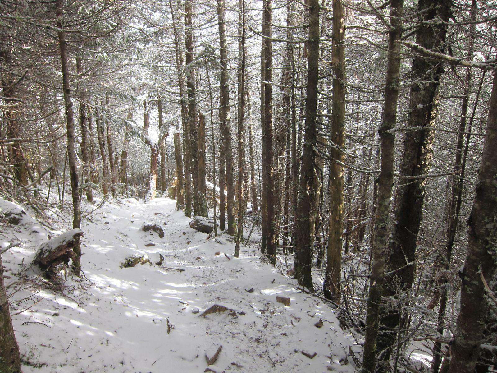 Mt. Willey hiking photo
