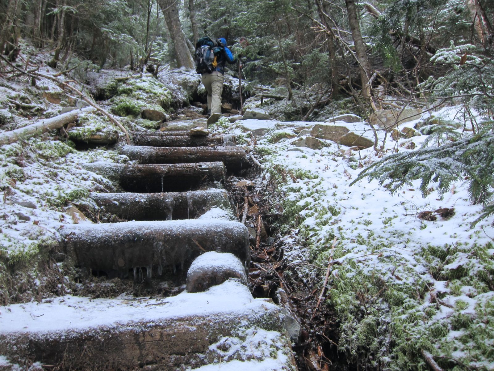 Mt. Willey hiking photo