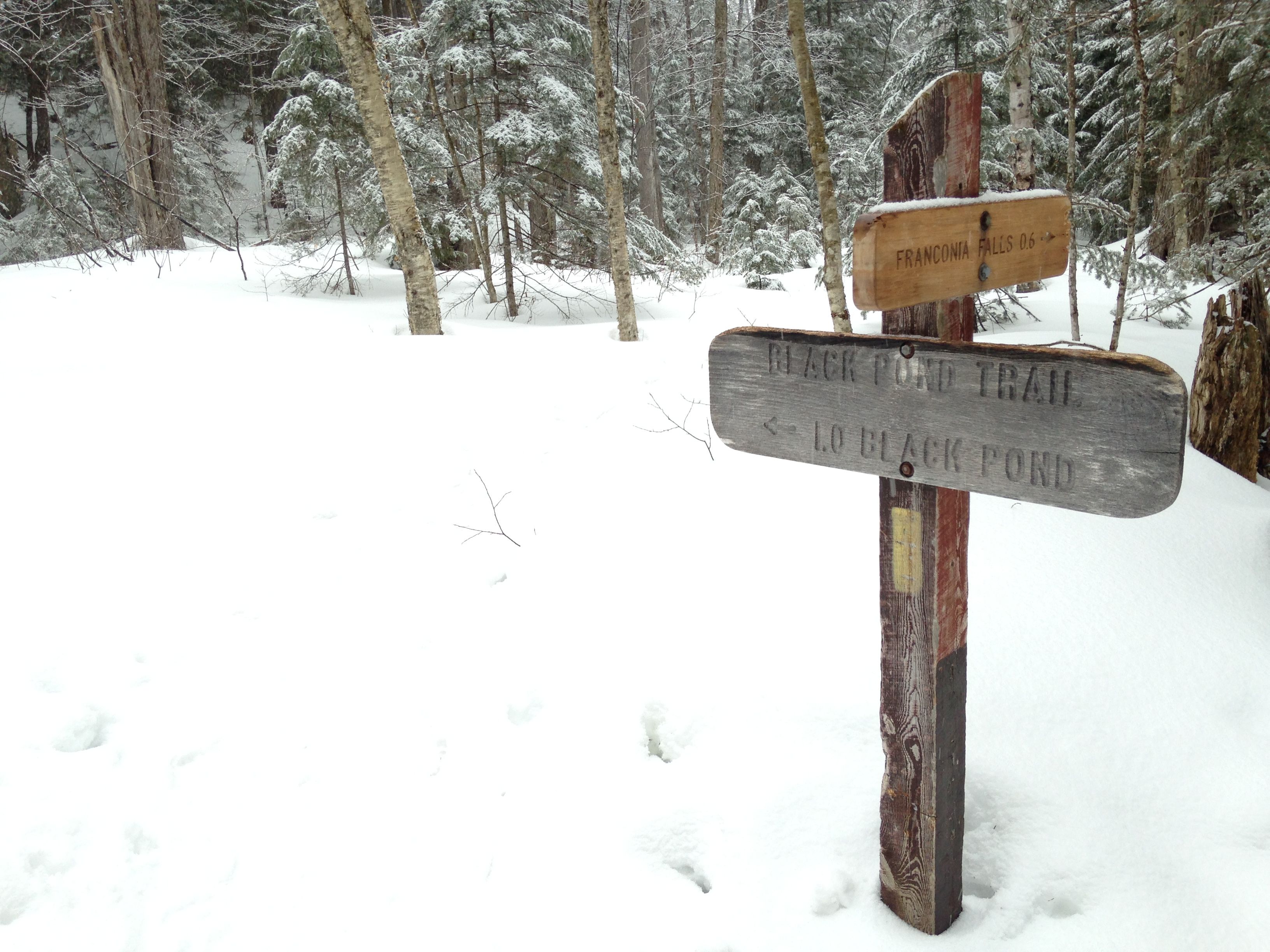 Hiking photo from 2015-03-15