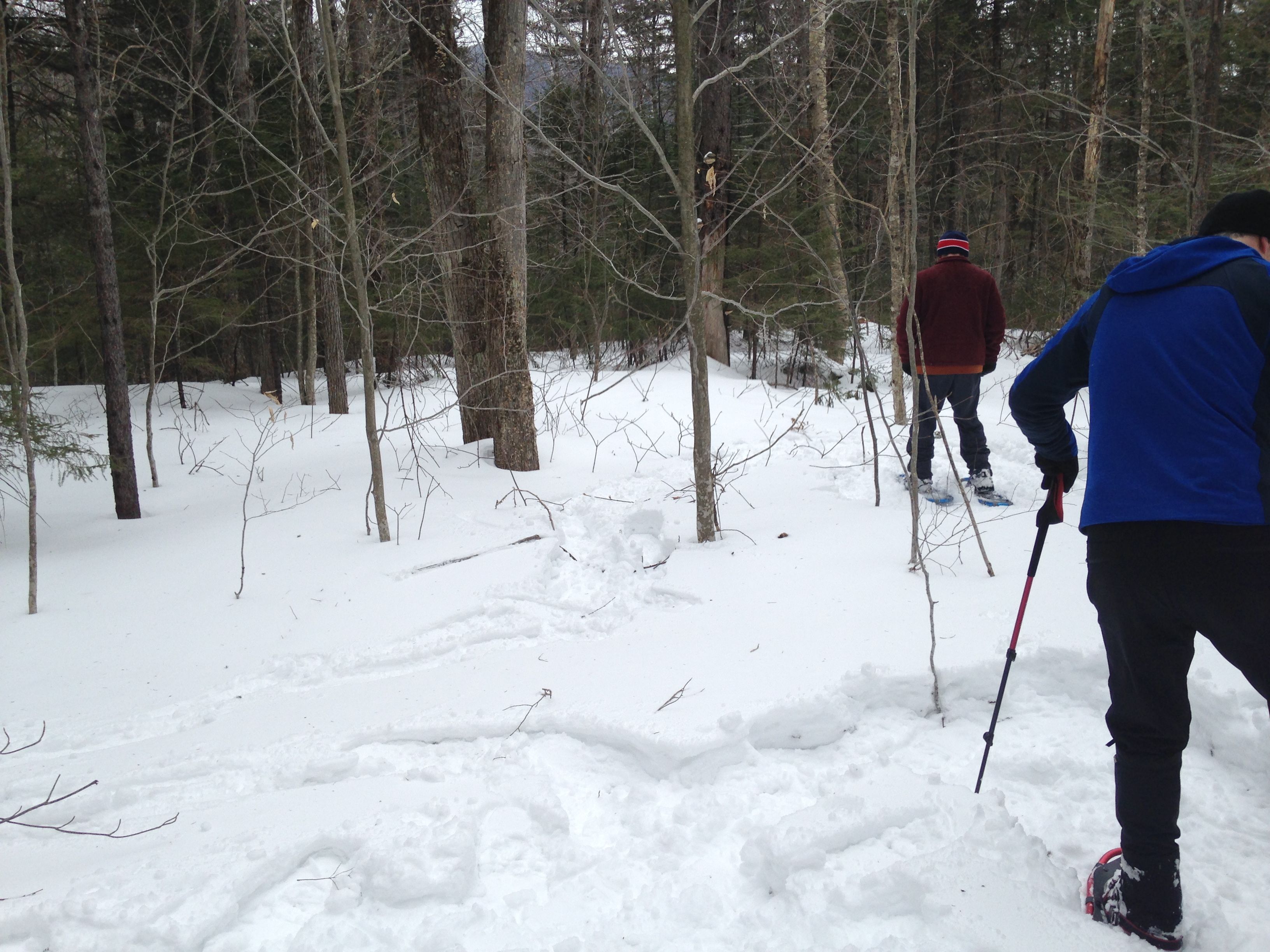 Hiking photo from 2015-03-14