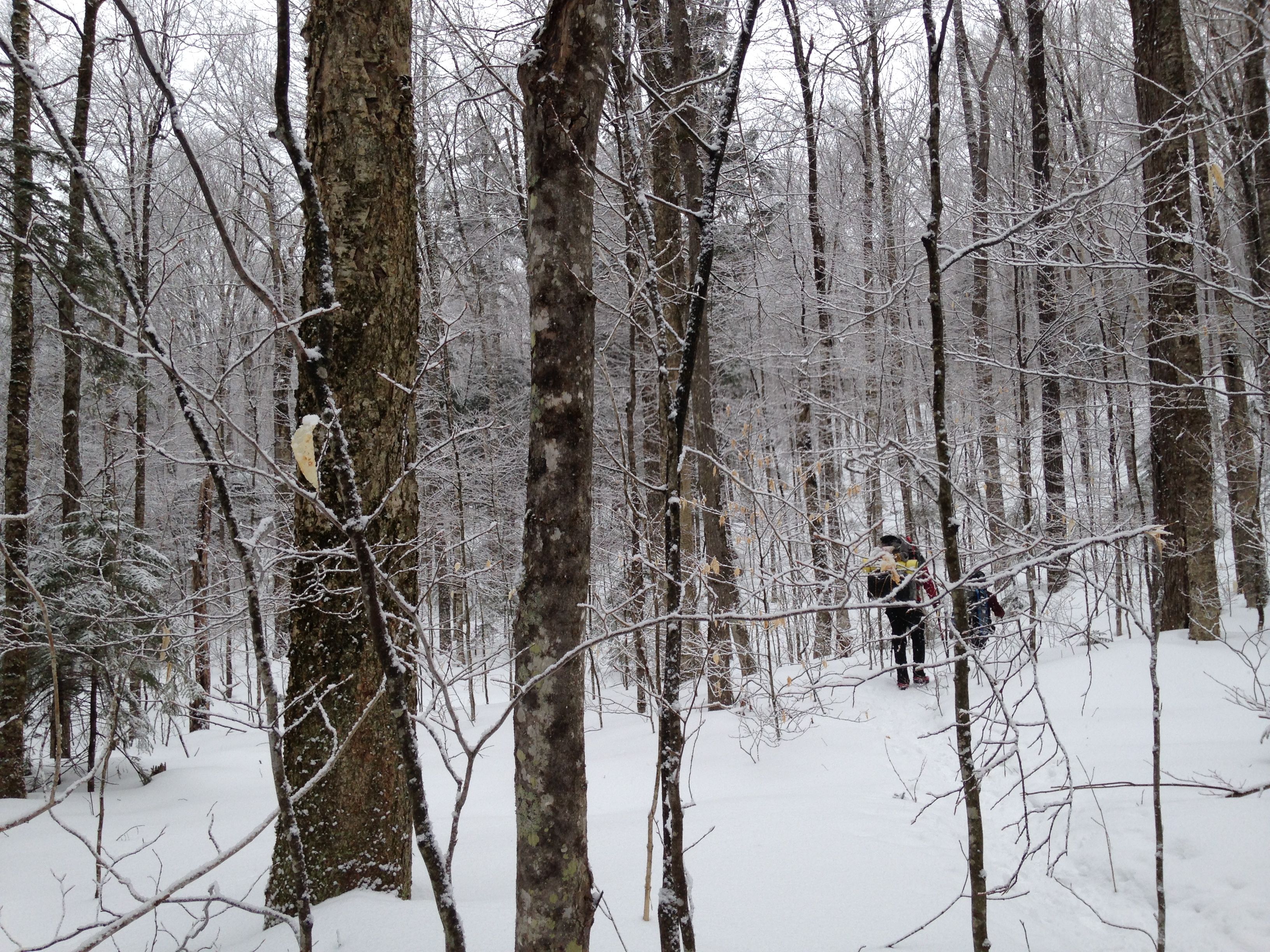 Hiking photo from 2015-03-15