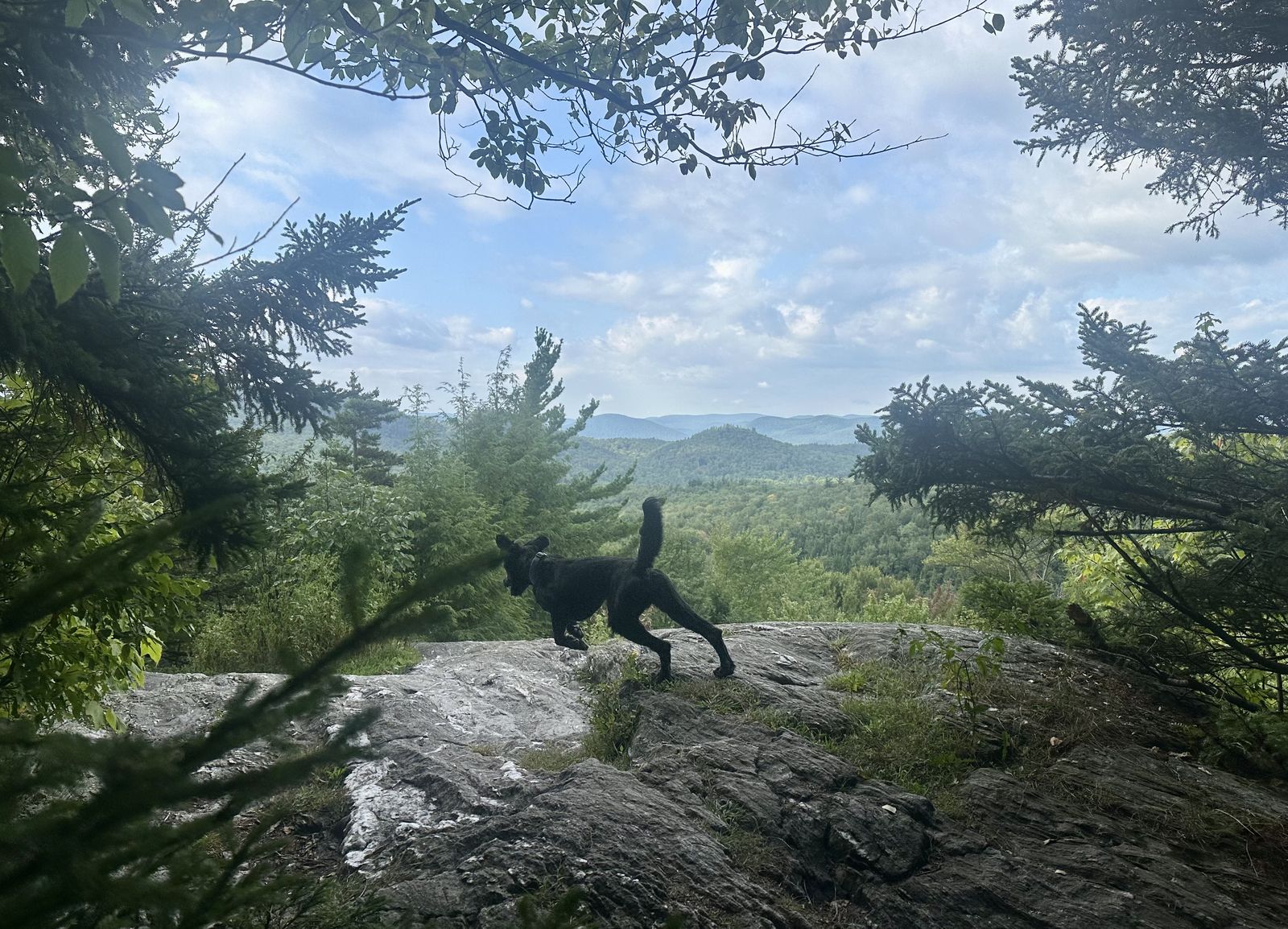 Preston Pond hiking photo