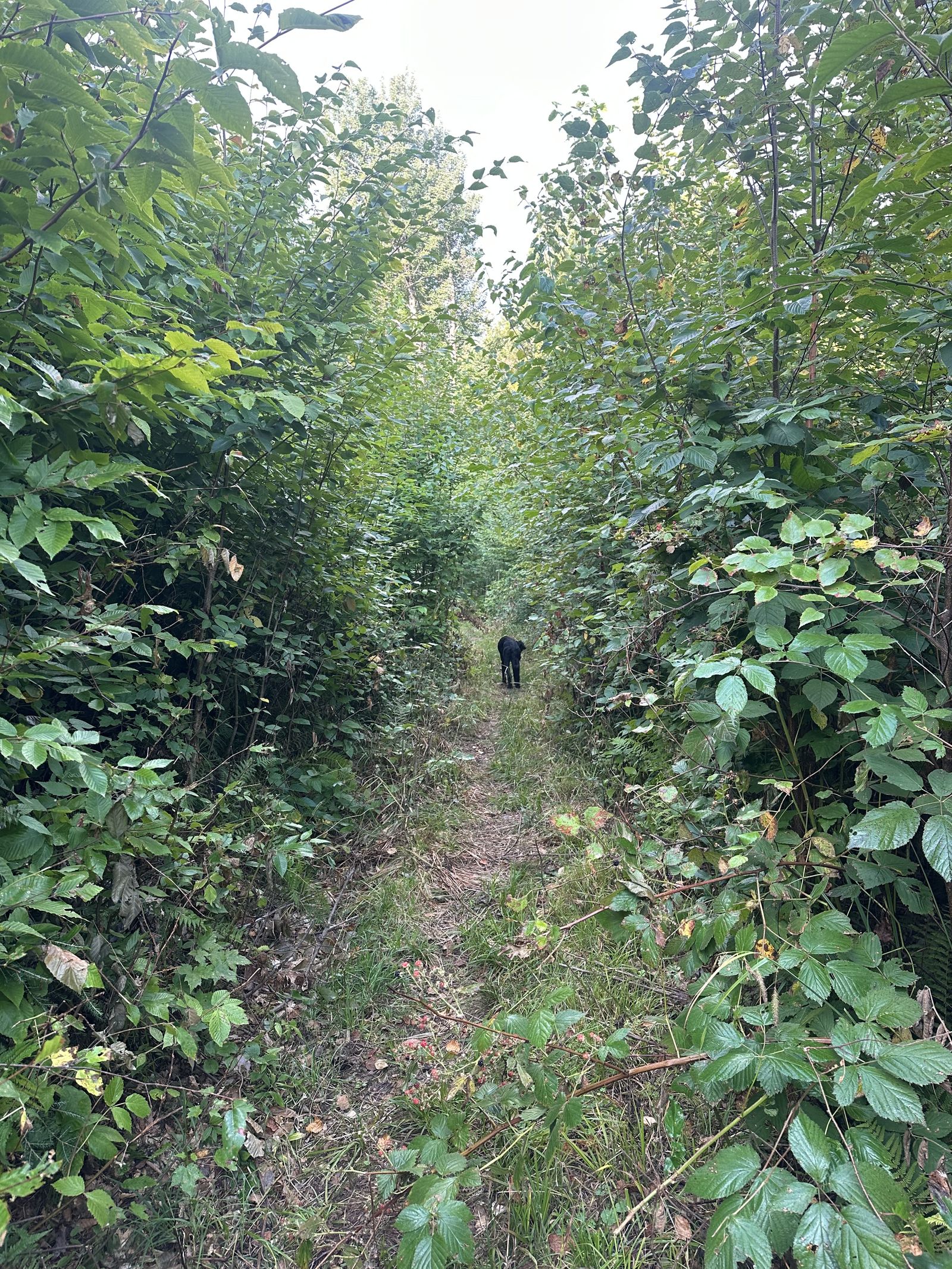 Preston Pond hiking photo