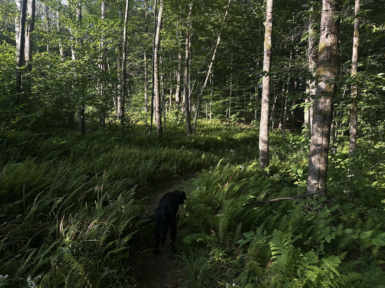 Preston Pond hiking photo