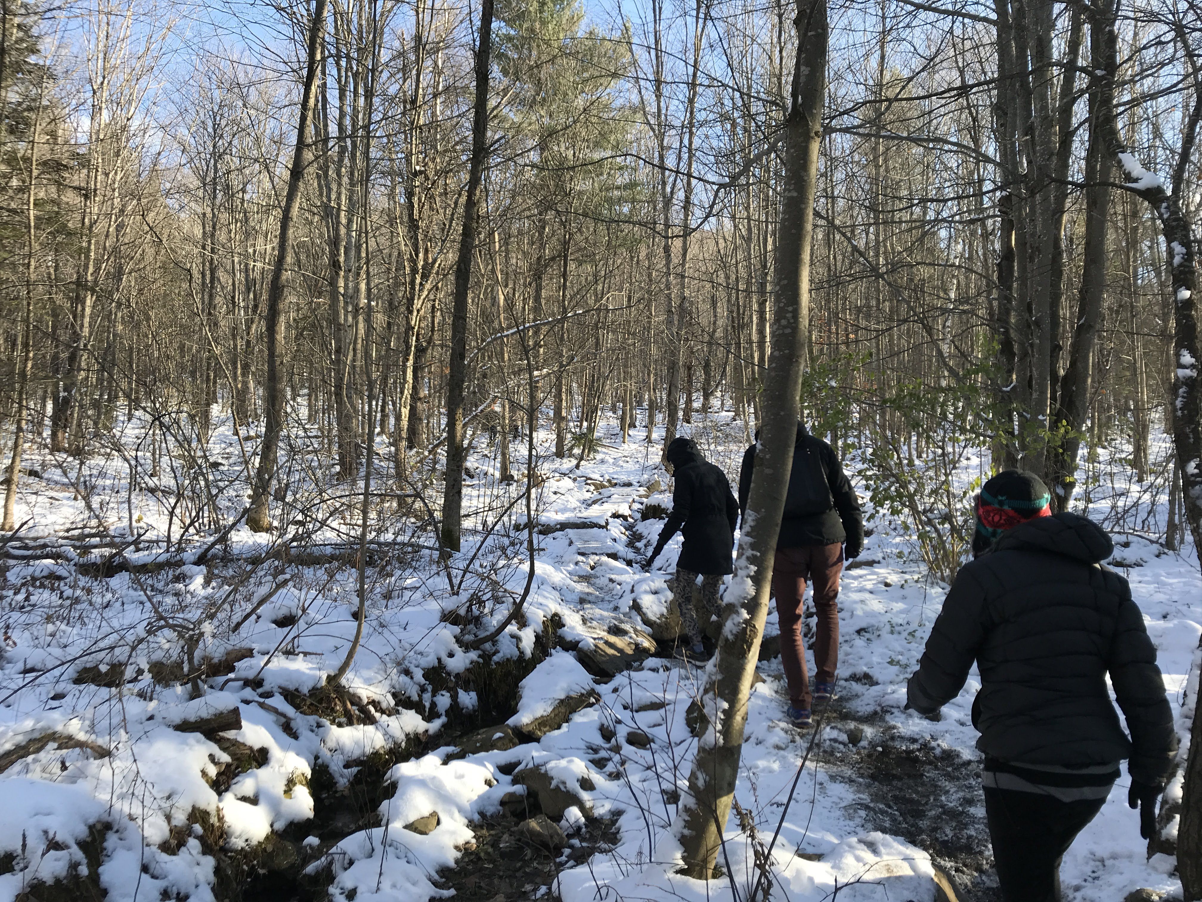 Hiking photo from 2018-11-11