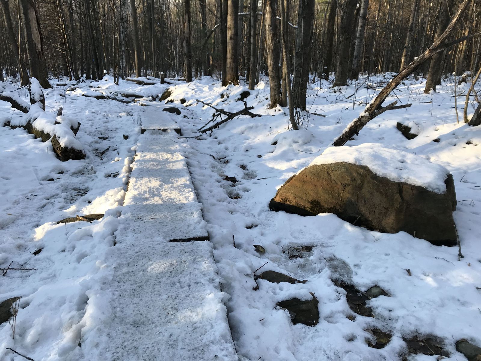 Hiking photo from 2018-11-11