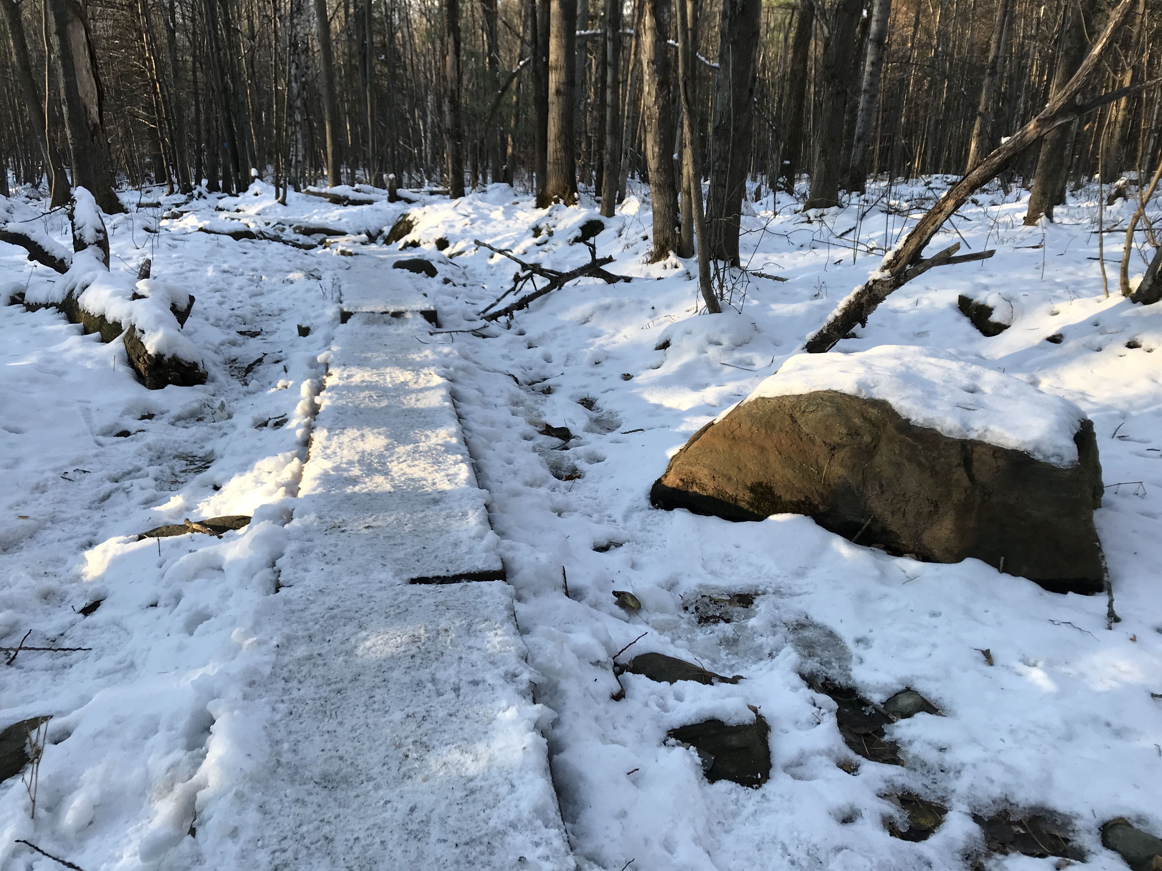 Hiking photo from 2018-11-11