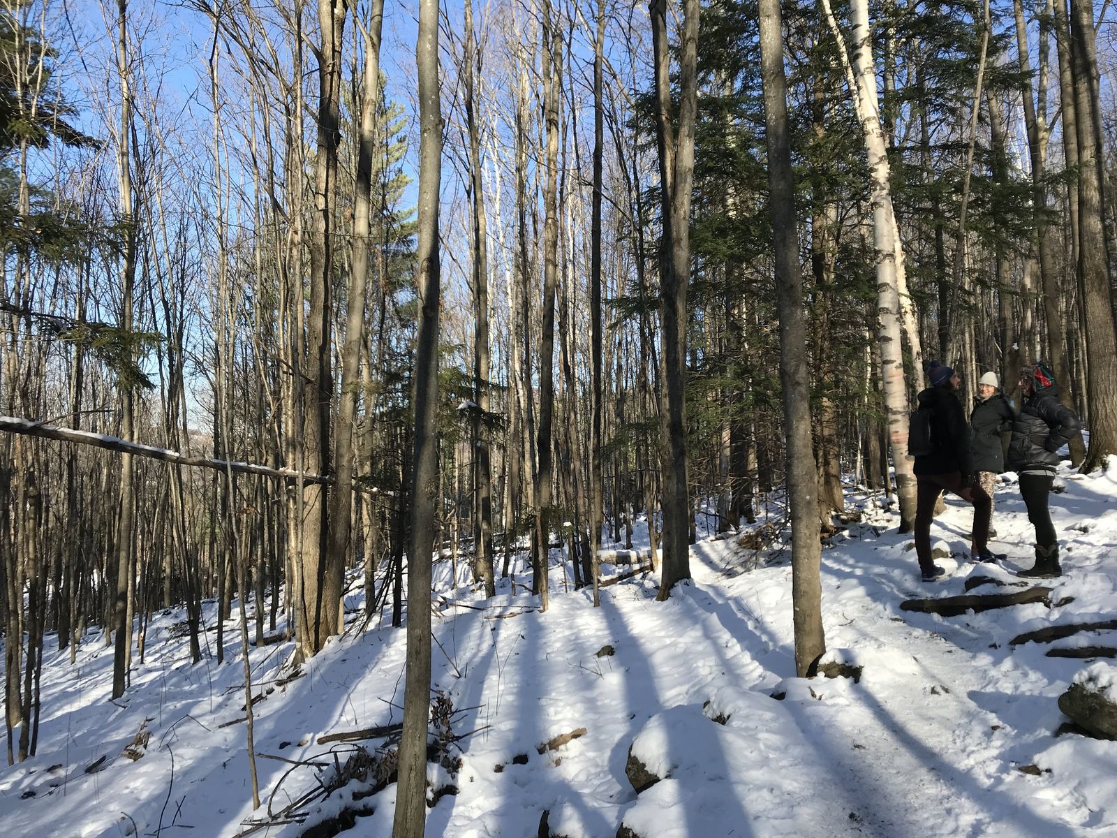 Hiking photo from 2018-11-11