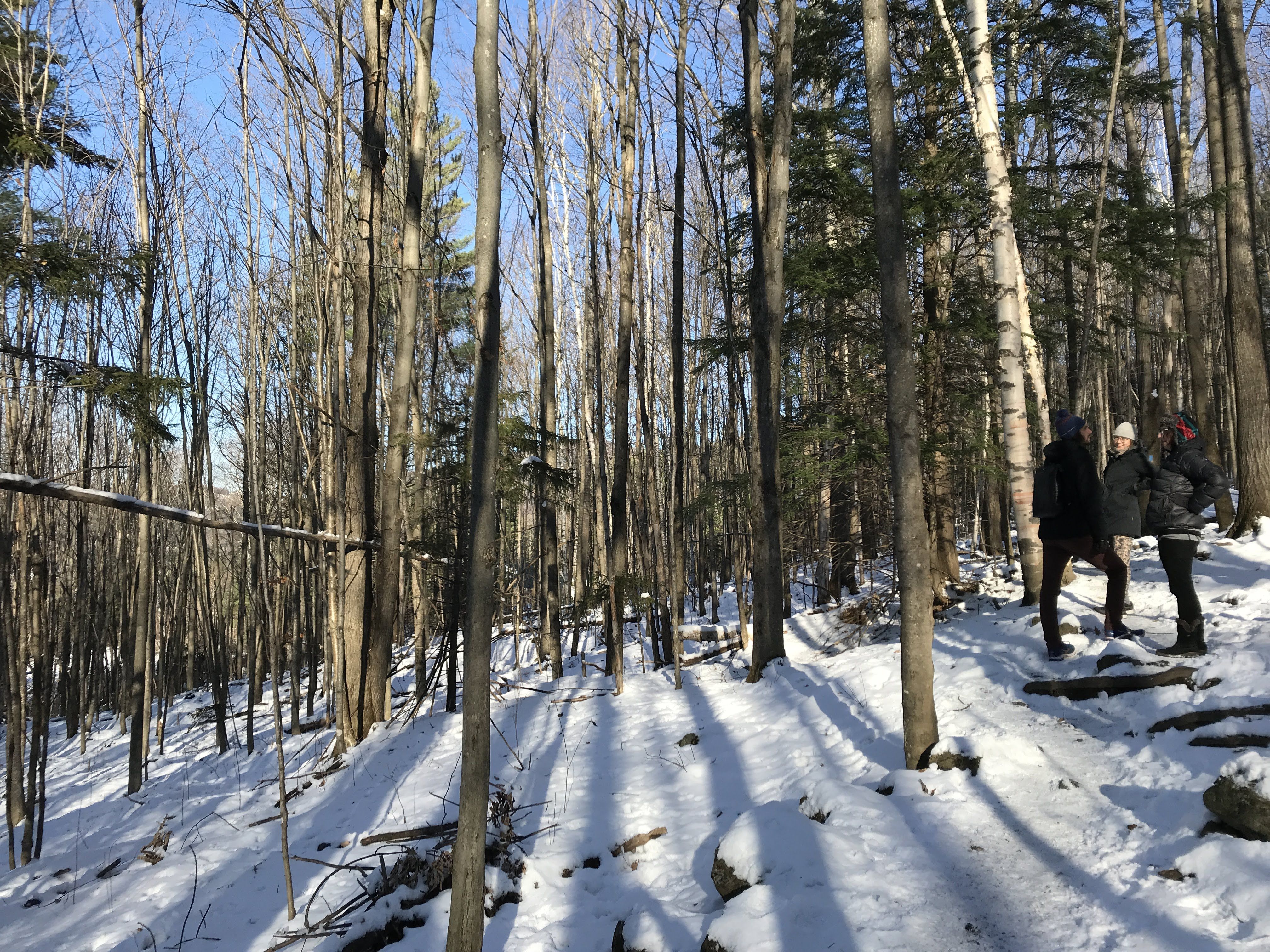 Hiking photo from 2018-11-11