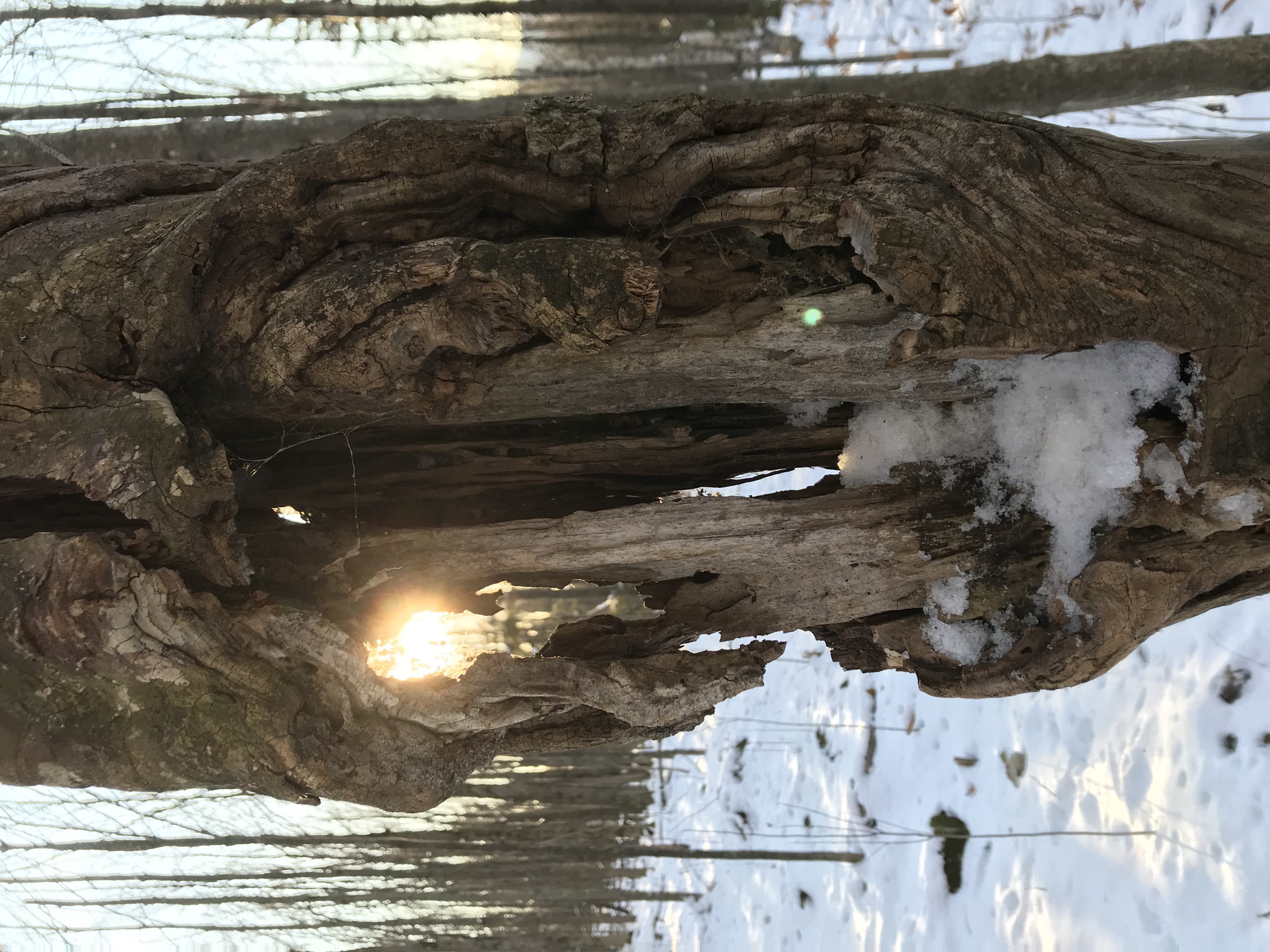 Hiking photo from 2018-11-11