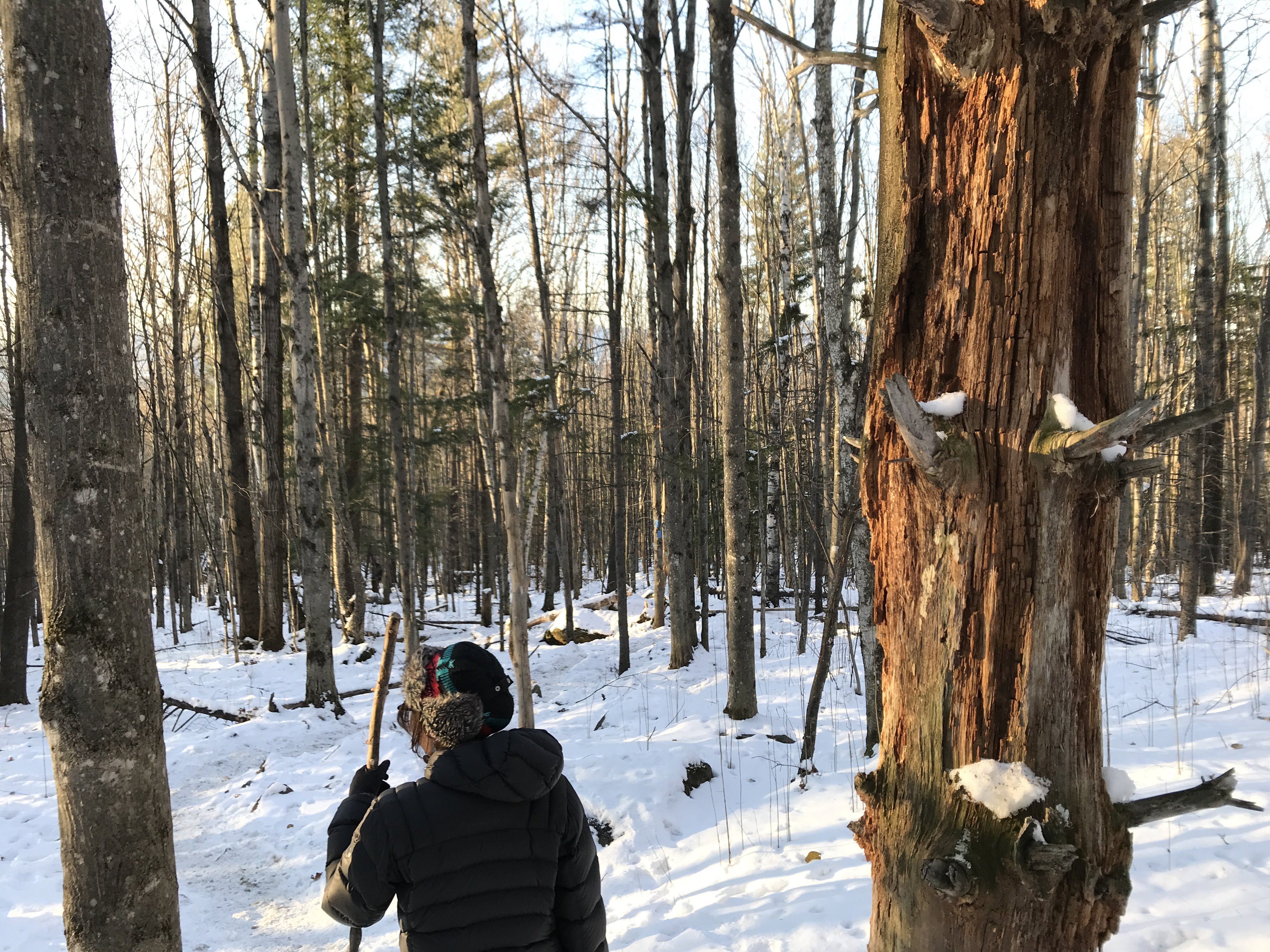 Hiking photo from 2018-11-11