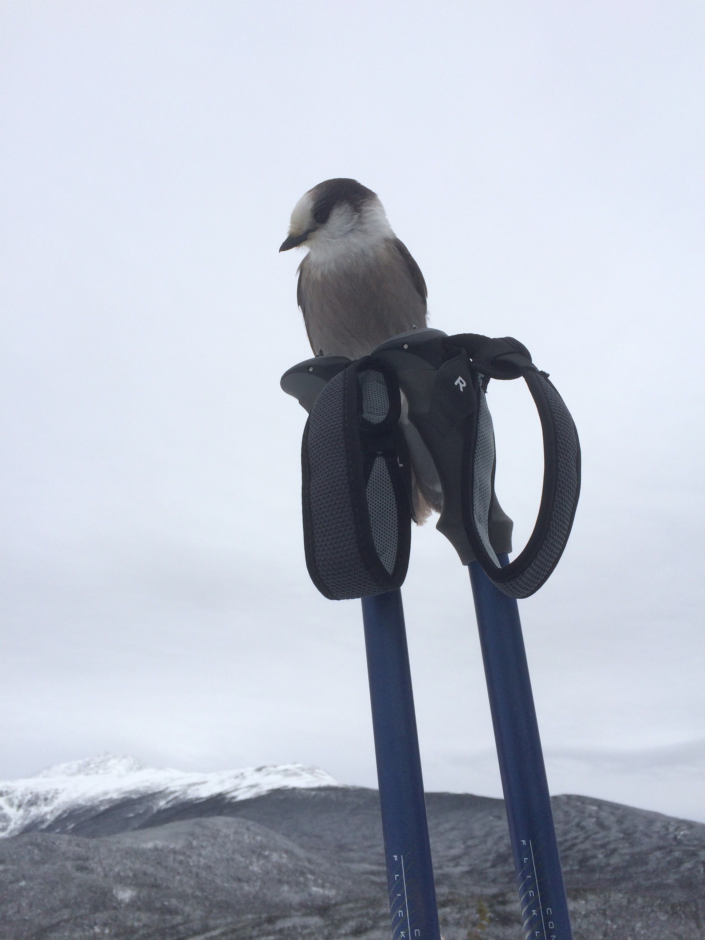Hiking photo from 2015-01-24