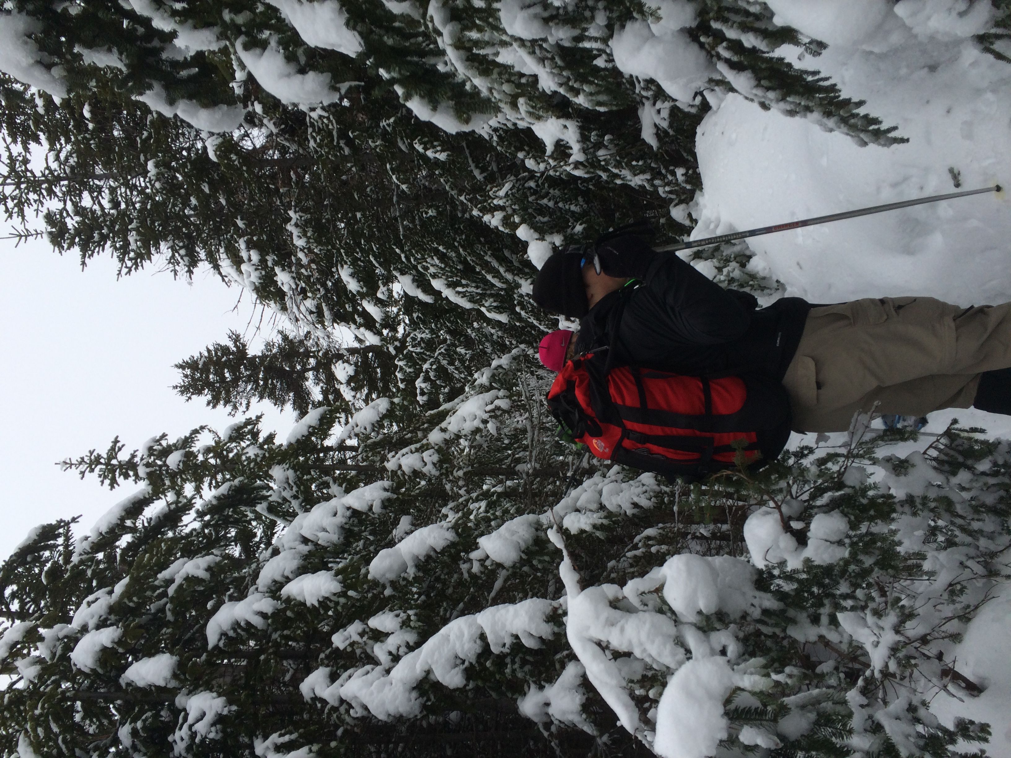 Hiking photo from 2015-01-24