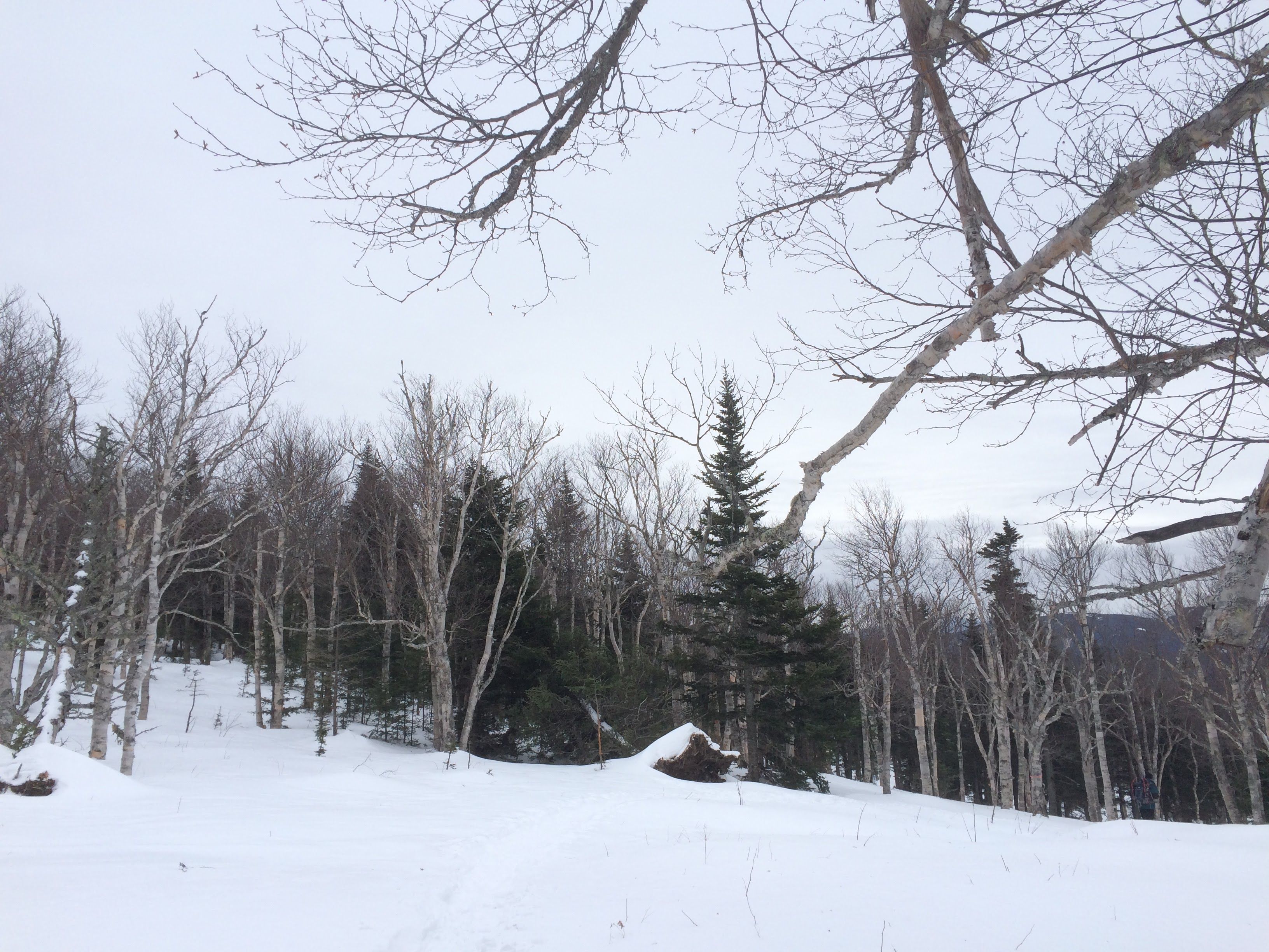 Hiking photo from 2015-01-24