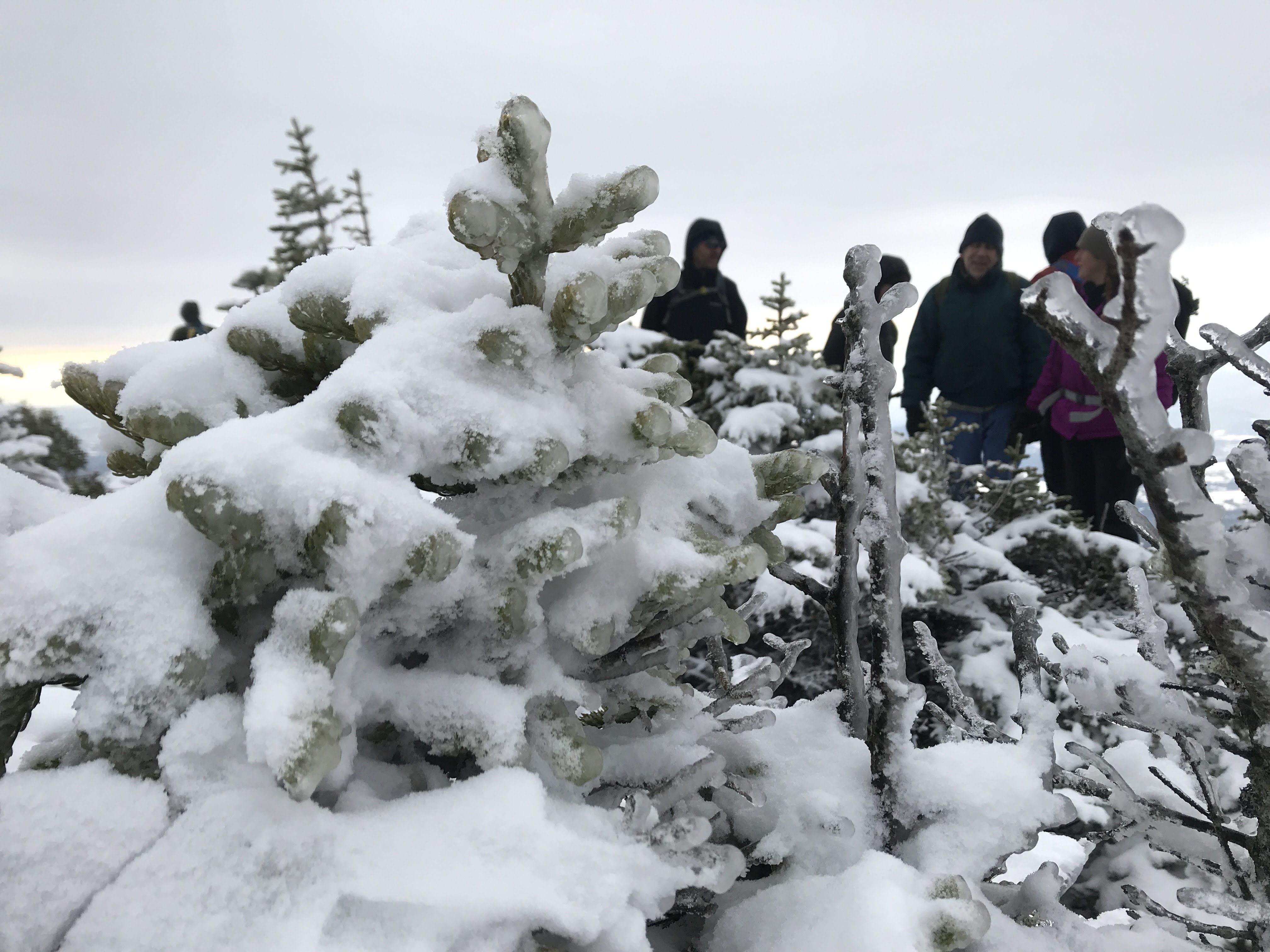 Hiking photo from 2018-01-20