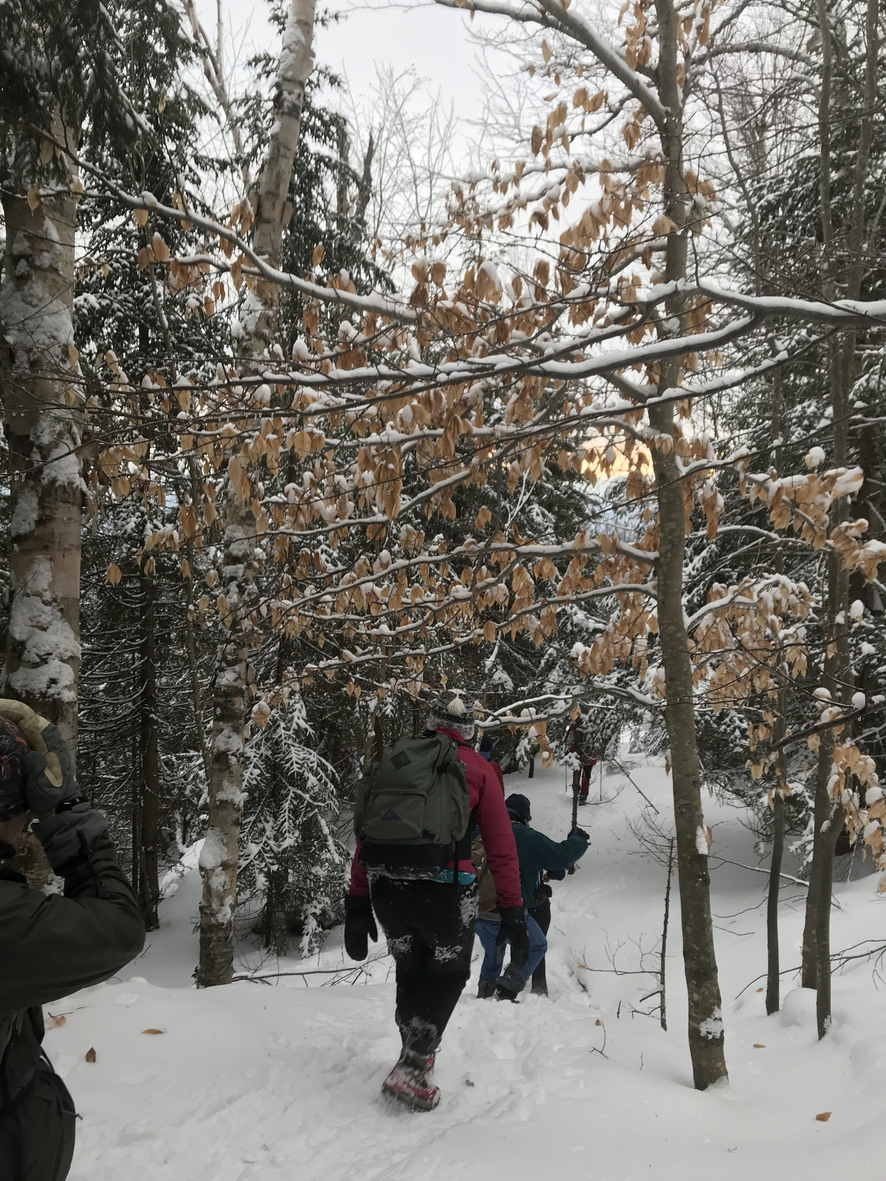 Hiking photo from 2018-01-20