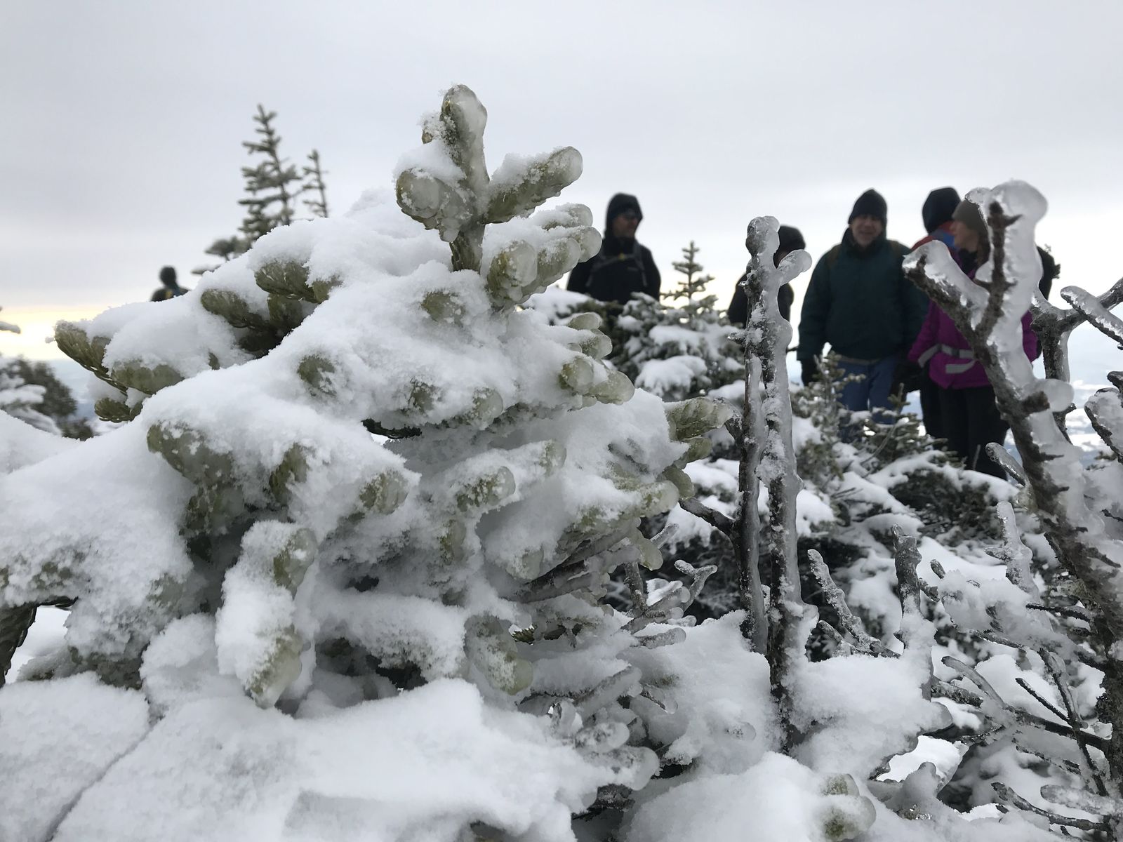 Hiking photo from 2018-01-20