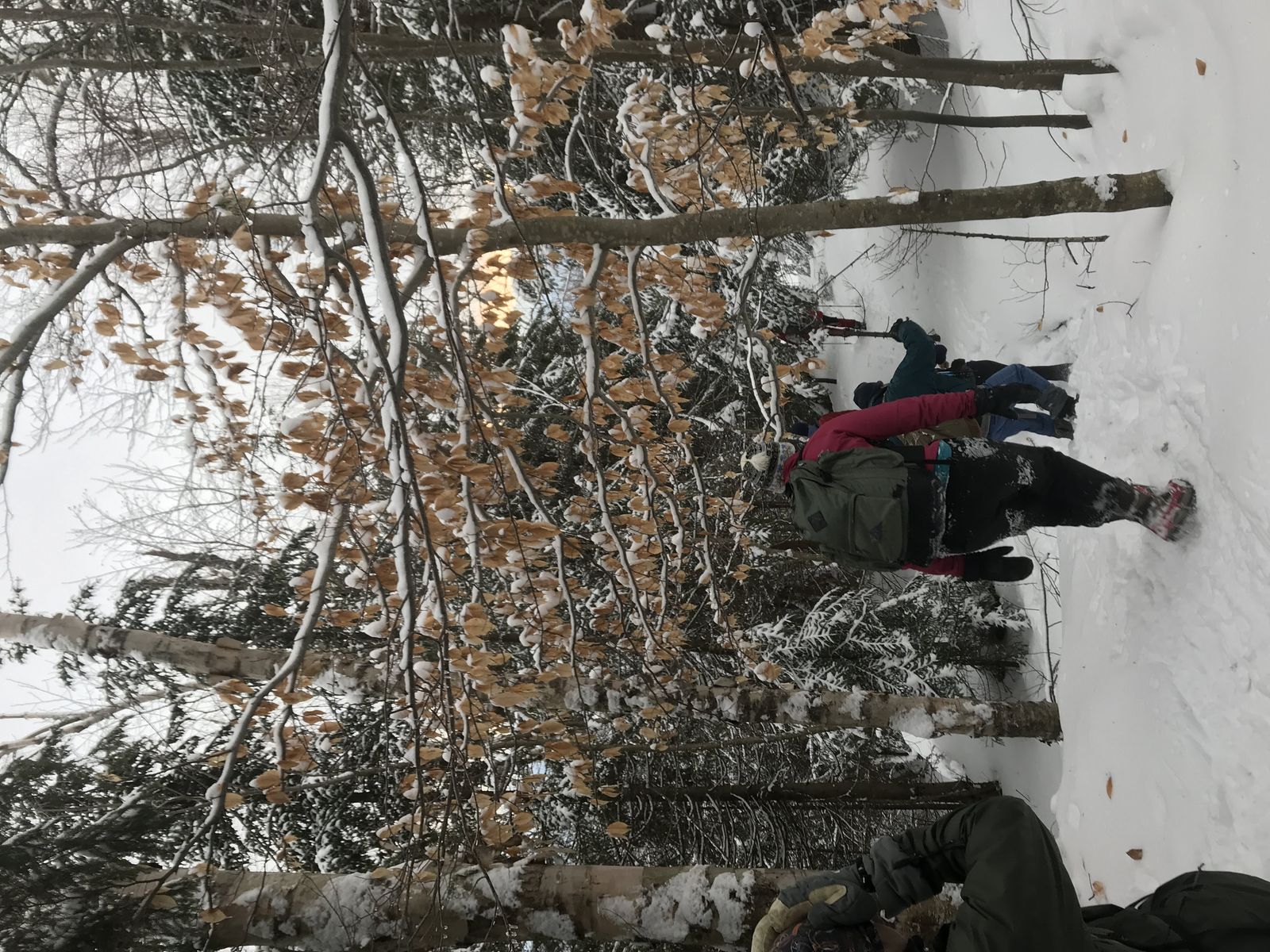 Hiking photo from 2018-01-20